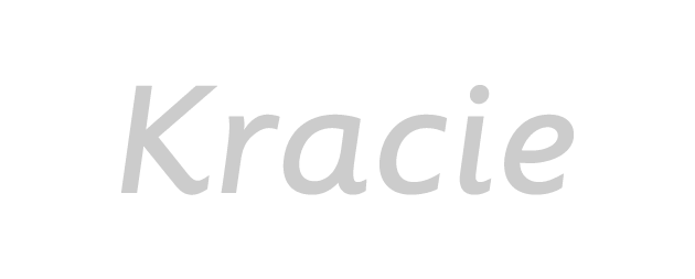 Kracie Holdings